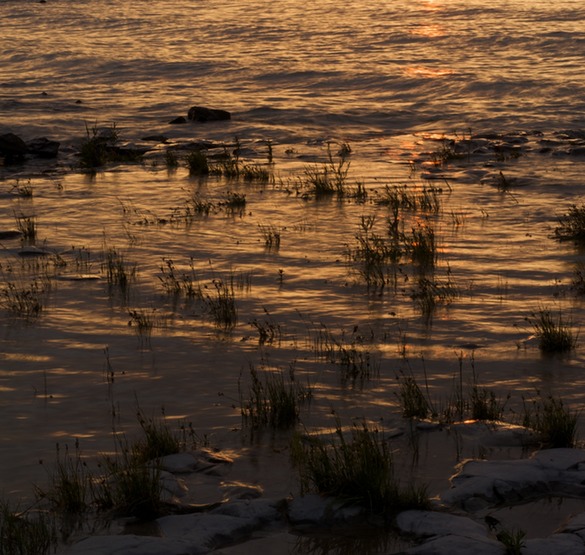 British Columbia 024